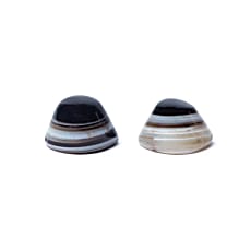 Occhio di Shiva pietra di protezione in Agata naturale