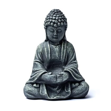 Buddha in meditazione con offerta