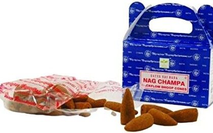 Backflow di Coni Reflusso Satya Nag Champa